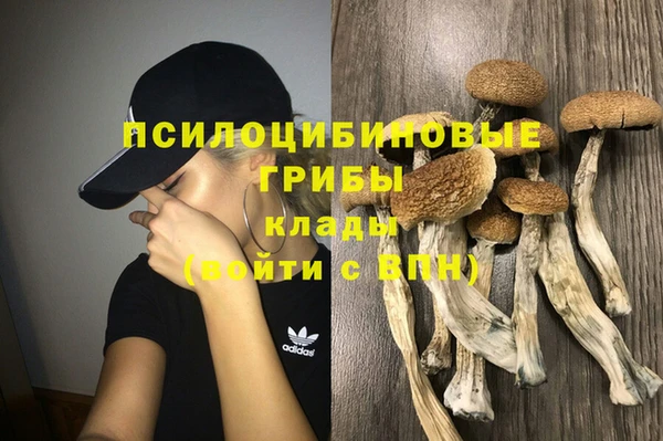 крисы Арсеньев